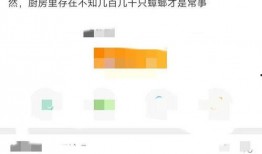 袁久红事件最新爆料,惊人内幕揭露真相